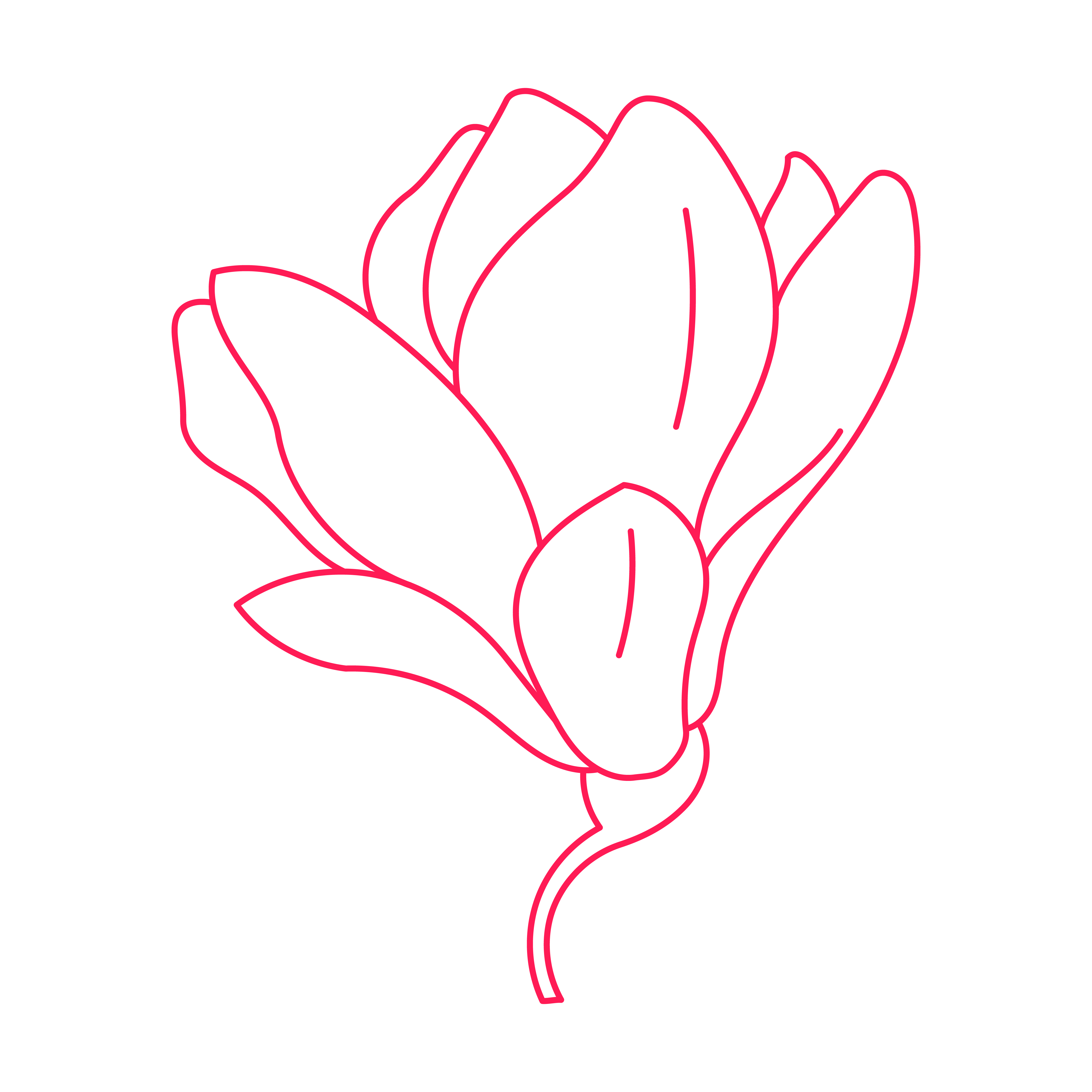Magnolia